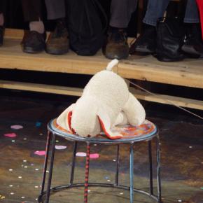 Zirkus der Kuscheltiere 1